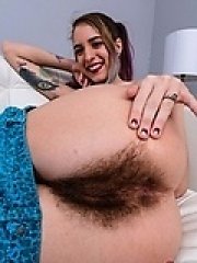 Hairy Pussy Porno Galleries