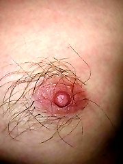 free hairy bush porn